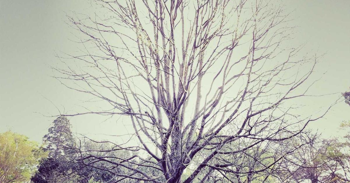 ADHD Christian Parenting: Biblical Strategies, Medication Decisions, and Strengths-Based Support