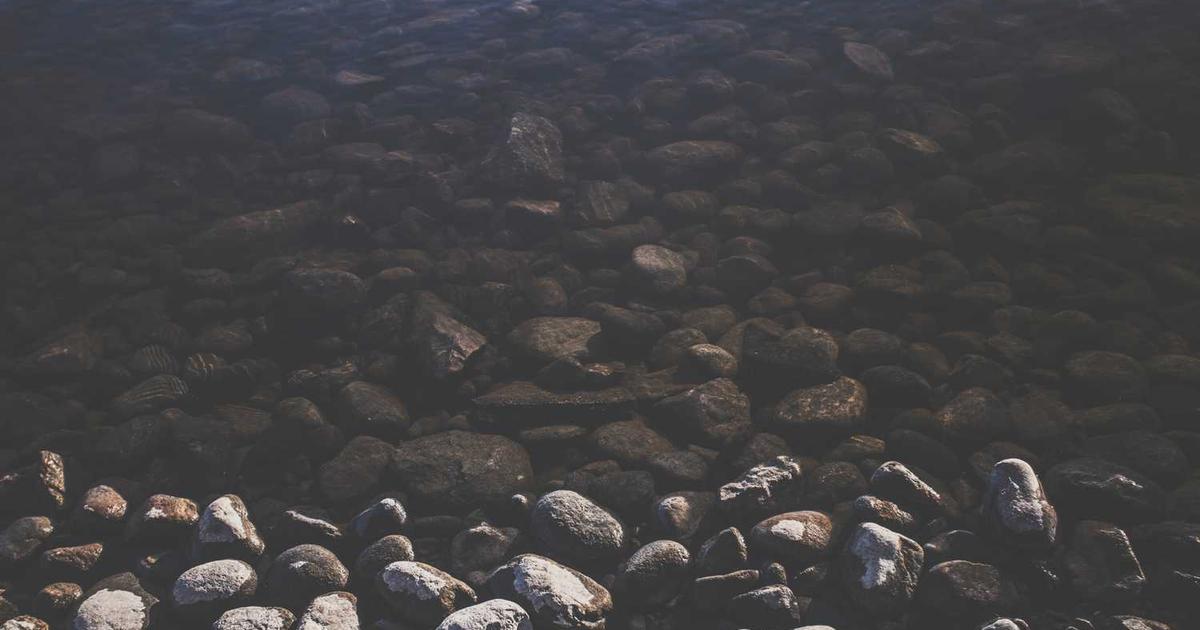 Open Adoption: Building Healthy Relationships with Birth Families