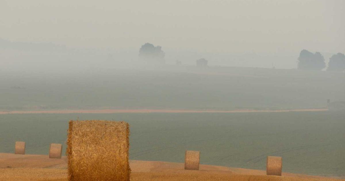 Choosing a Christian School: How to Evaluate Quality, Theology, and Fit for Your Family