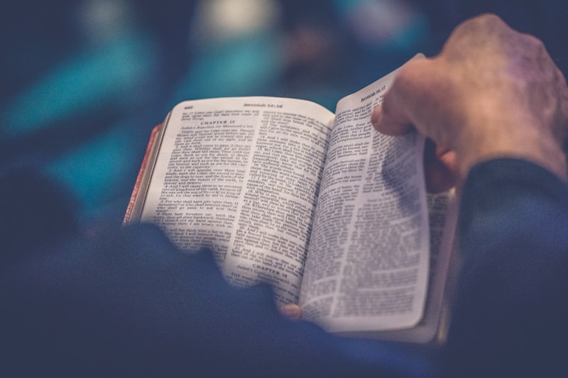 Choosing a Family Bible: A Guide to Translations, Formats, and Age Levels