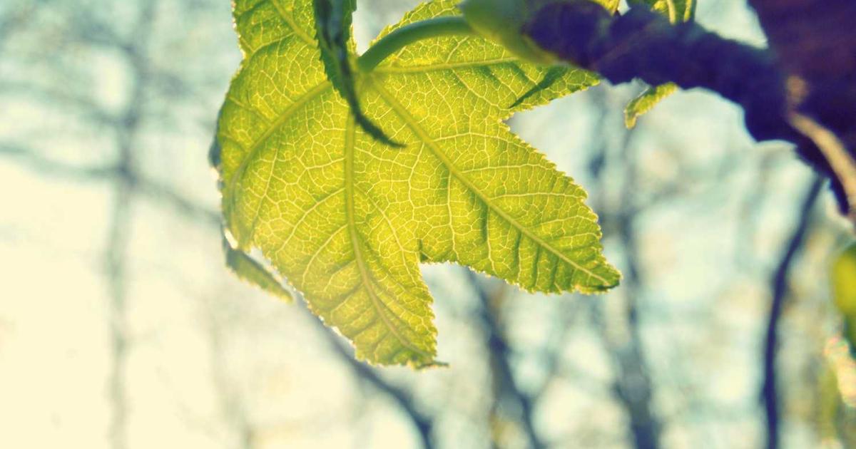 Christian Art and Architecture Through the Ages