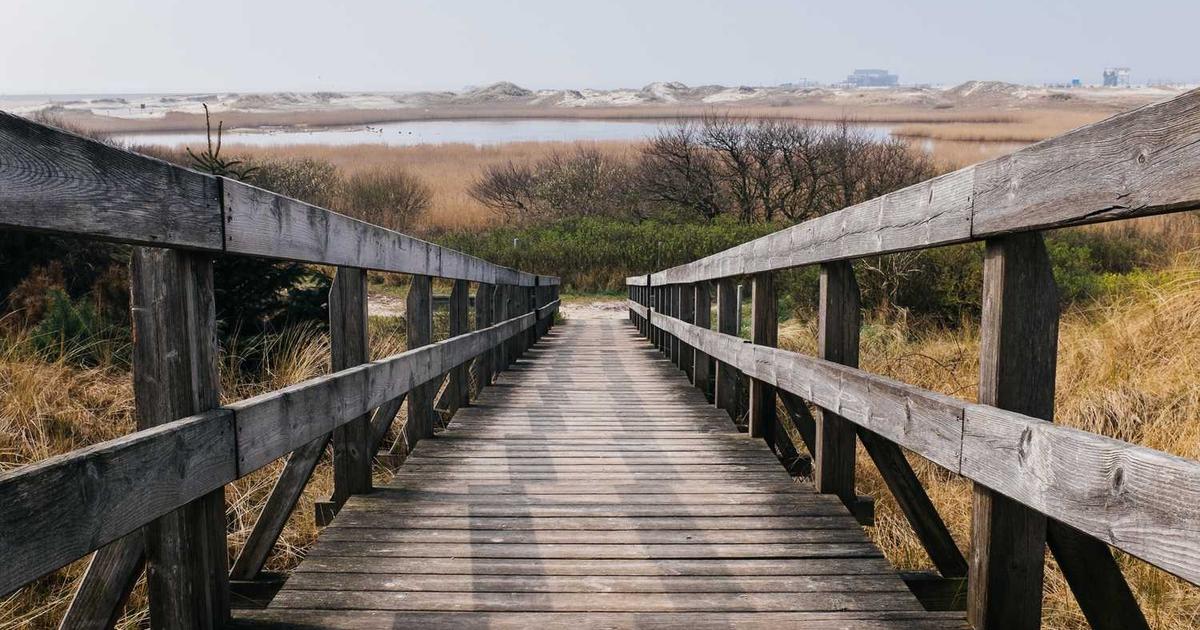 Christian Persecution History: Martyrs and Heroes