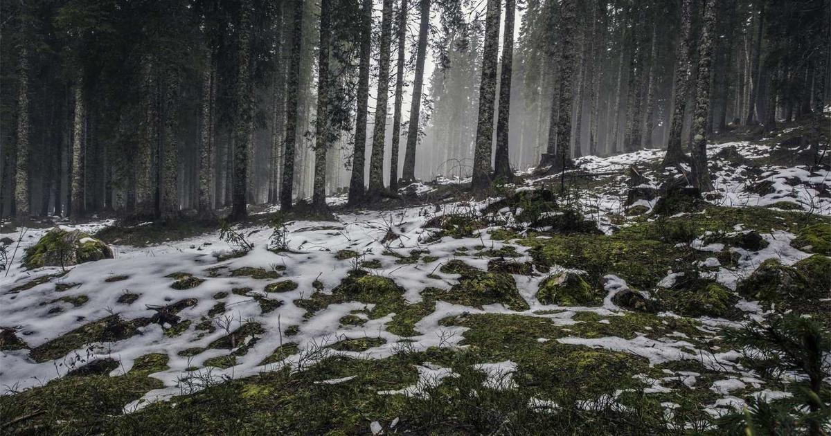 Communion and Eucharist Theology: Teaching Kids About the Lord