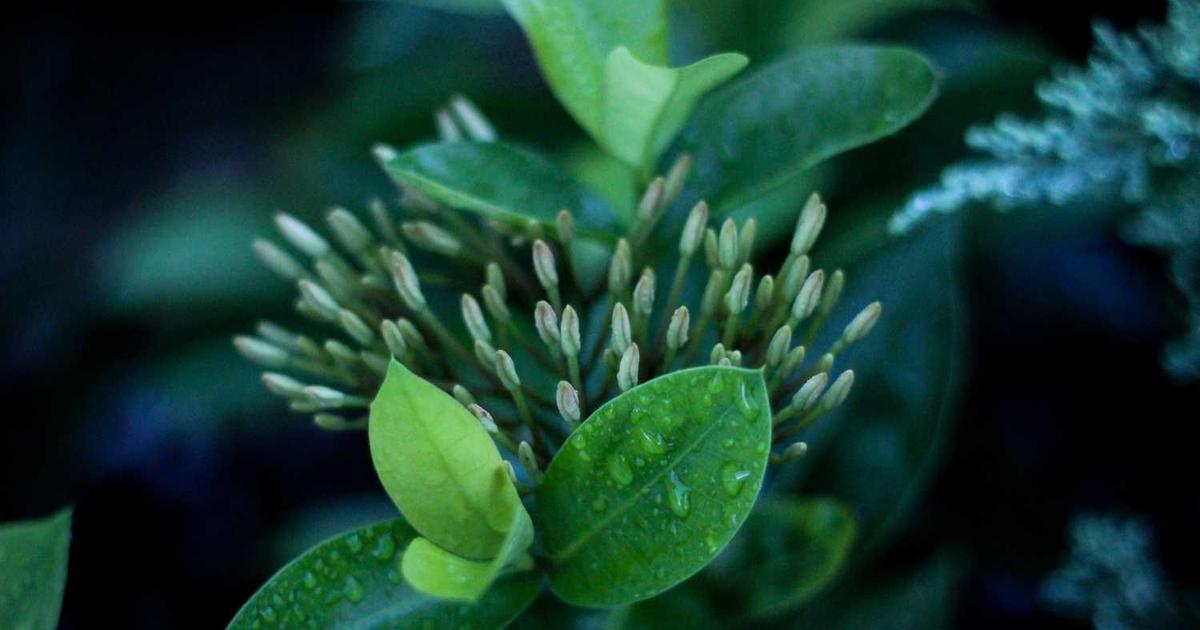 Crafts and Handwork: Teaching Children the Proverbs 31 Virtues Through Creative Skills