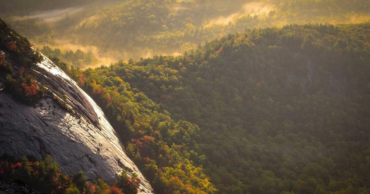 Date Nights for Parents: Protecting Your Marriage While Raising Kids