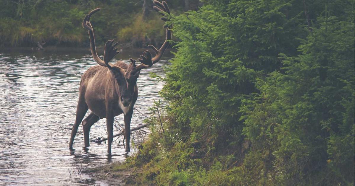 Dealing with Lying and Dishonesty: A Biblical Approach to Teaching Truth