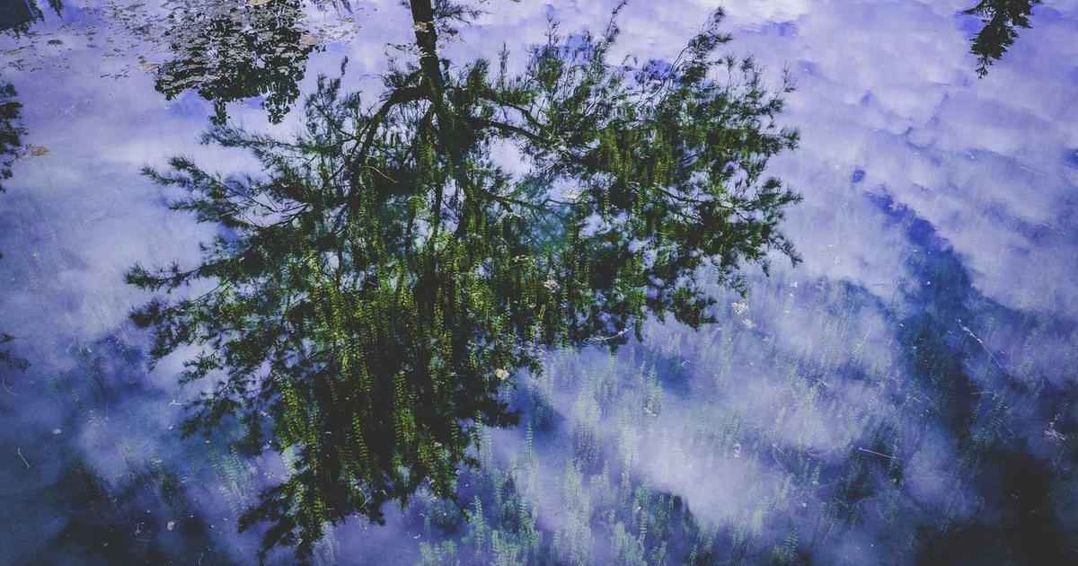 Dental Health and Oral Hygiene: Teaching Kids Biblical Stewardship of Their Teeth