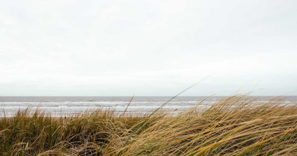 Developing Courage in Children: Raising Brave Kids Who Trust God