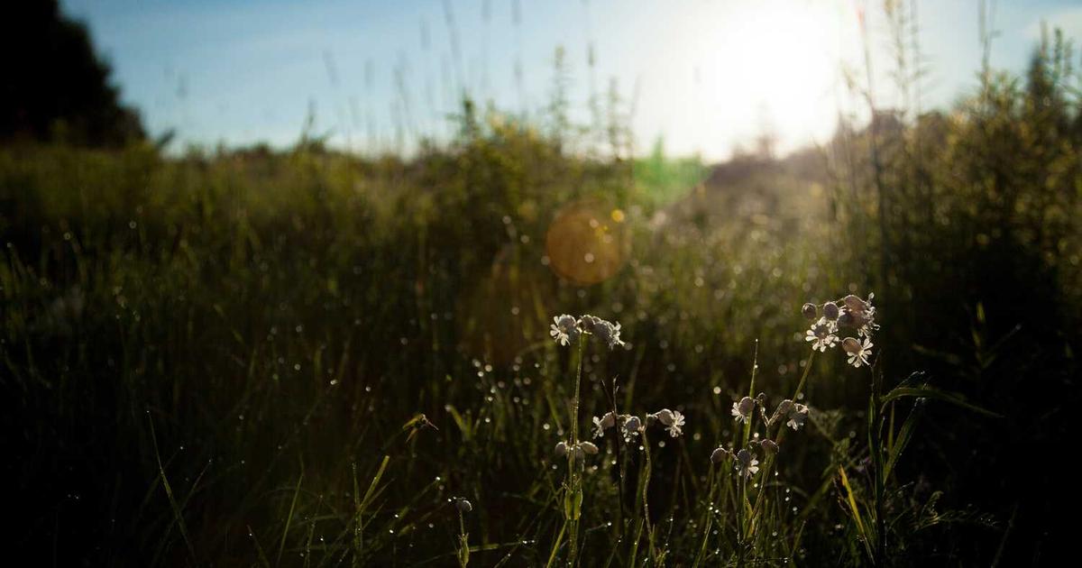 Dyscalculia: Helping Your Child Overcome Math Learning Challenges with Faith and Patience