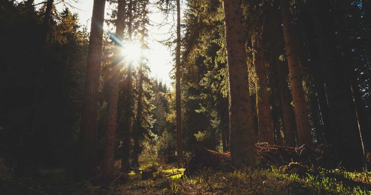 Entrepreneurship and Business Ownership for Christian Youth