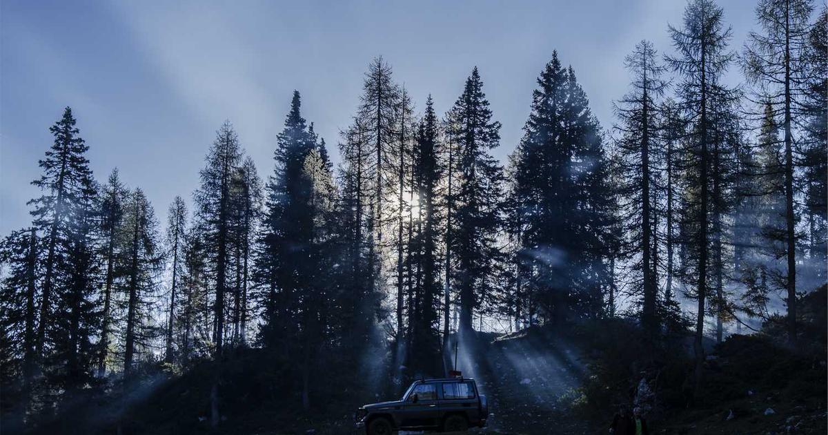 Family Service Projects Together: Building a Lifestyle of Service Across All Ages