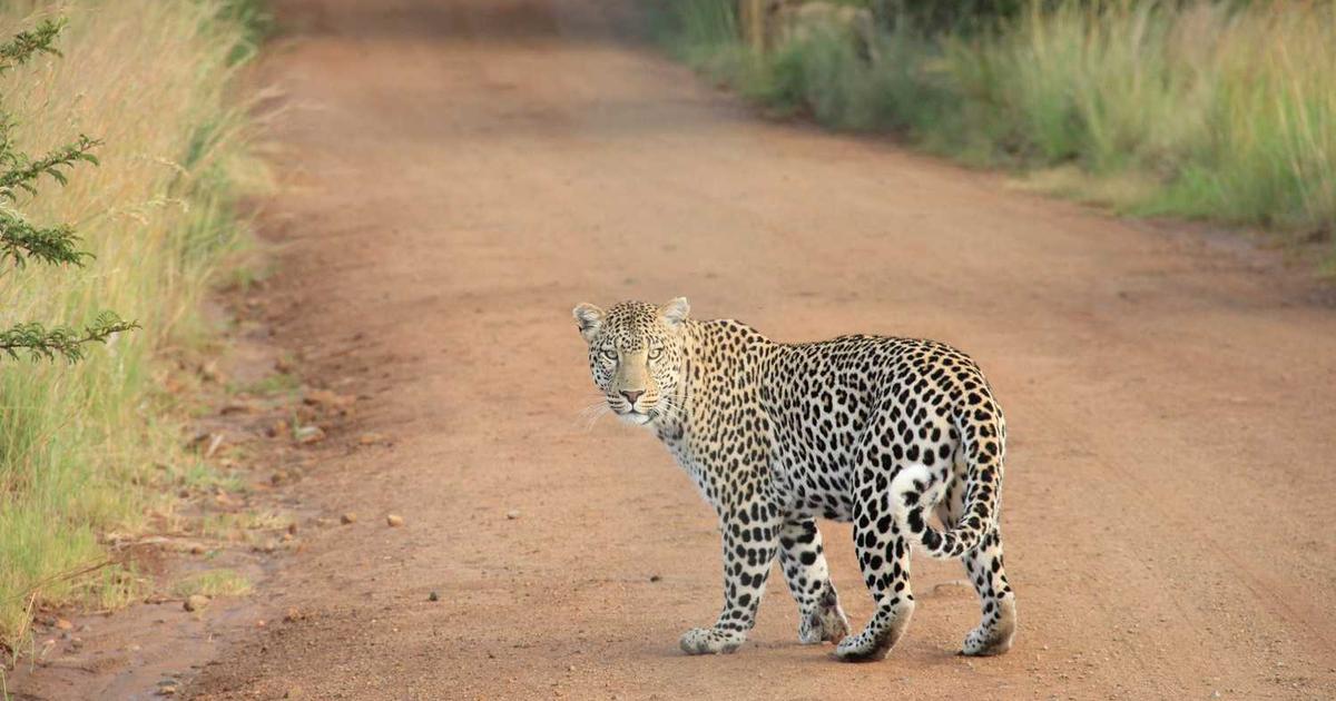 Family Tech Contract: Creating Digital Guidelines Together