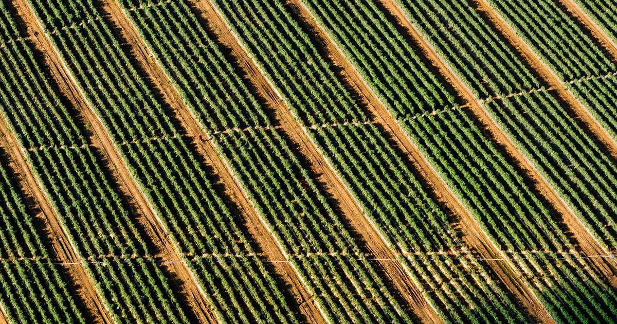 Family Therapy and Systems Approaches: A Christian Guide to Healing Together