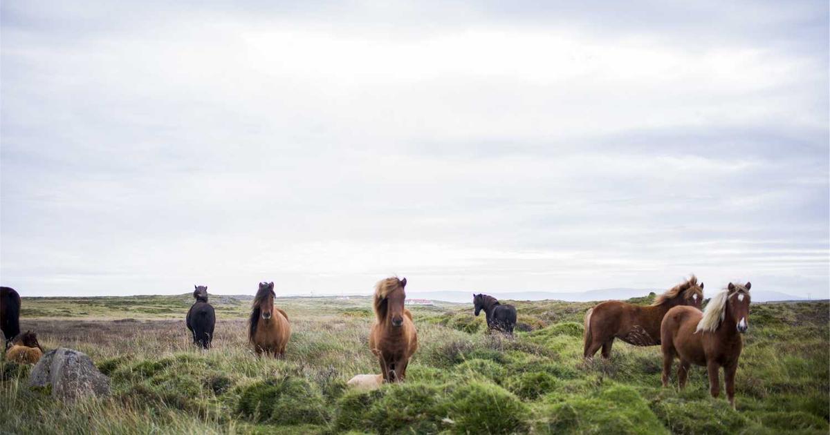 Fasting and Prayer: Age-Appropriate Practices for Kids