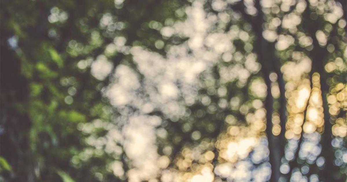 Finding Godly Mentors for Your Kids: Building Spiritual Support Network