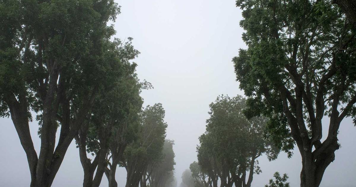 Twice-Exceptional Children: Parenting Gifted Kids with Learning Differences