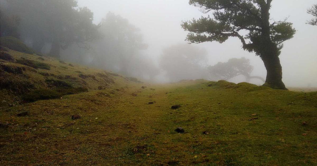 Gut Health and the Microbiome: Christian Stewardship of Digestion