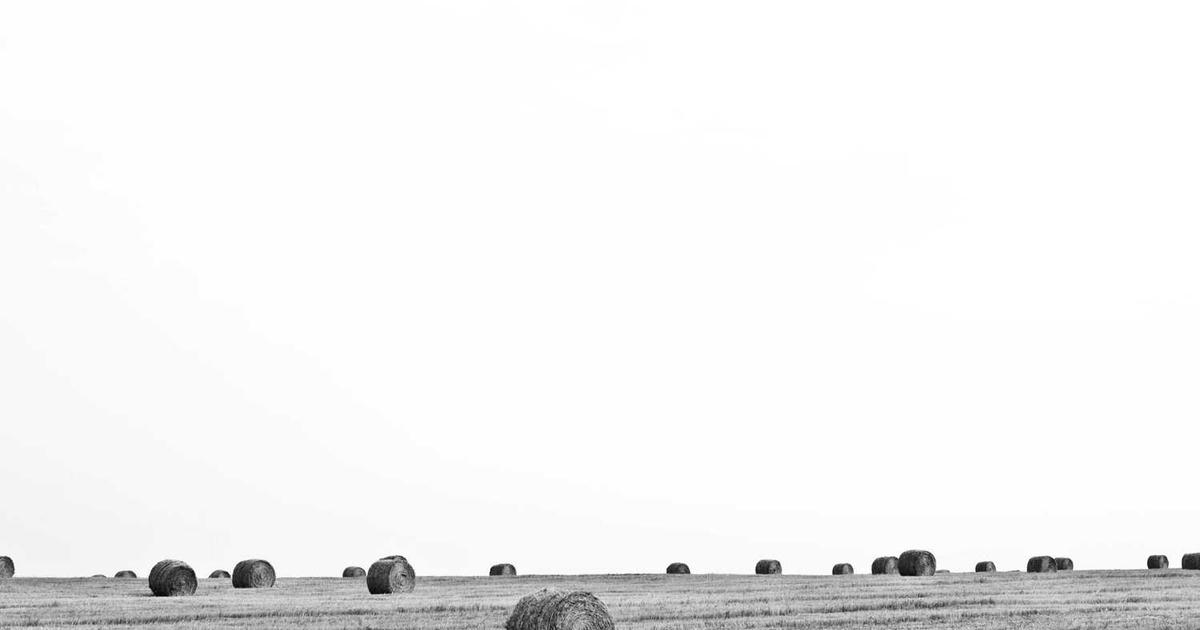 Handling Sibling Rivalry: Biblical Solutions for Peace at Home