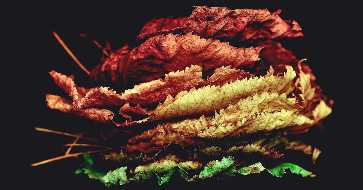 Helping Kids Enjoy Church Services: Age-Appropriate Strategies for Meaningful Worship