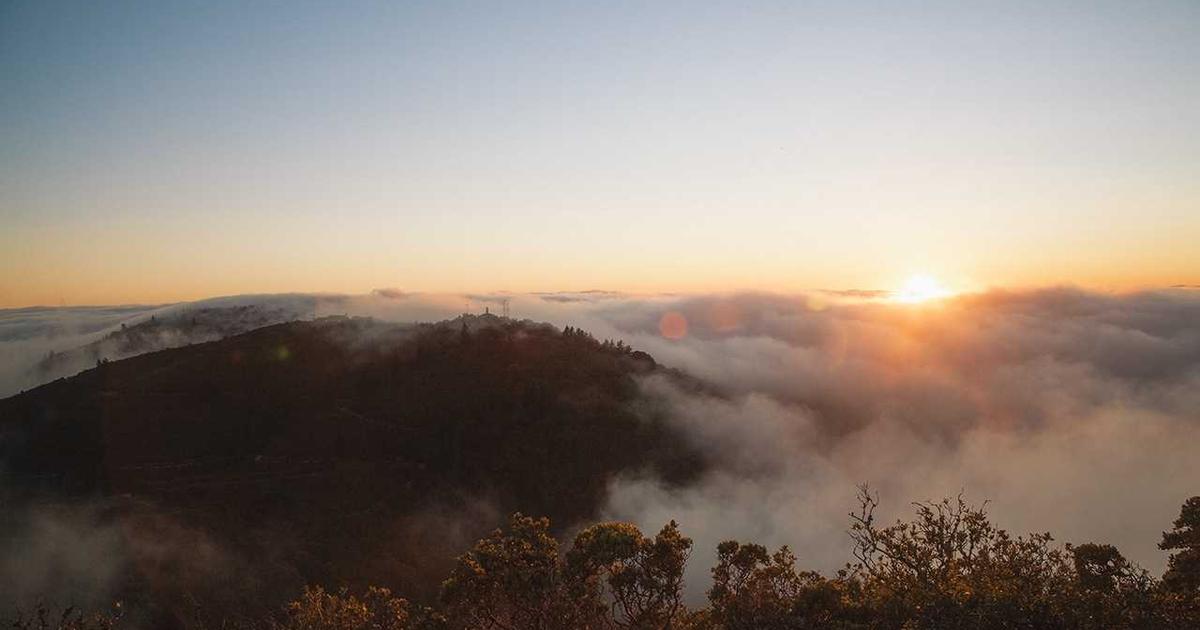 Helping Children Through Moves and Relocation: God's Faithfulness in Transitions