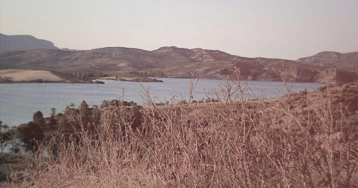 Kids in Hospitality and Greeter Ministry: Teaching Children Servant Leadership Through Welcoming and First Impressions