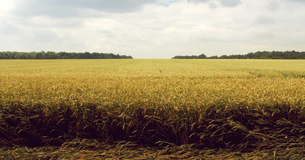 Teaching Independence Skills to Children with Special Needs: Celebrating Capability