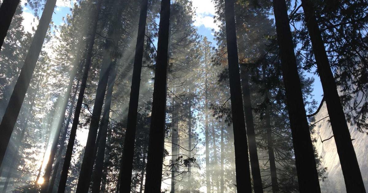 Kids and Sunday School: Maximizing Your Child