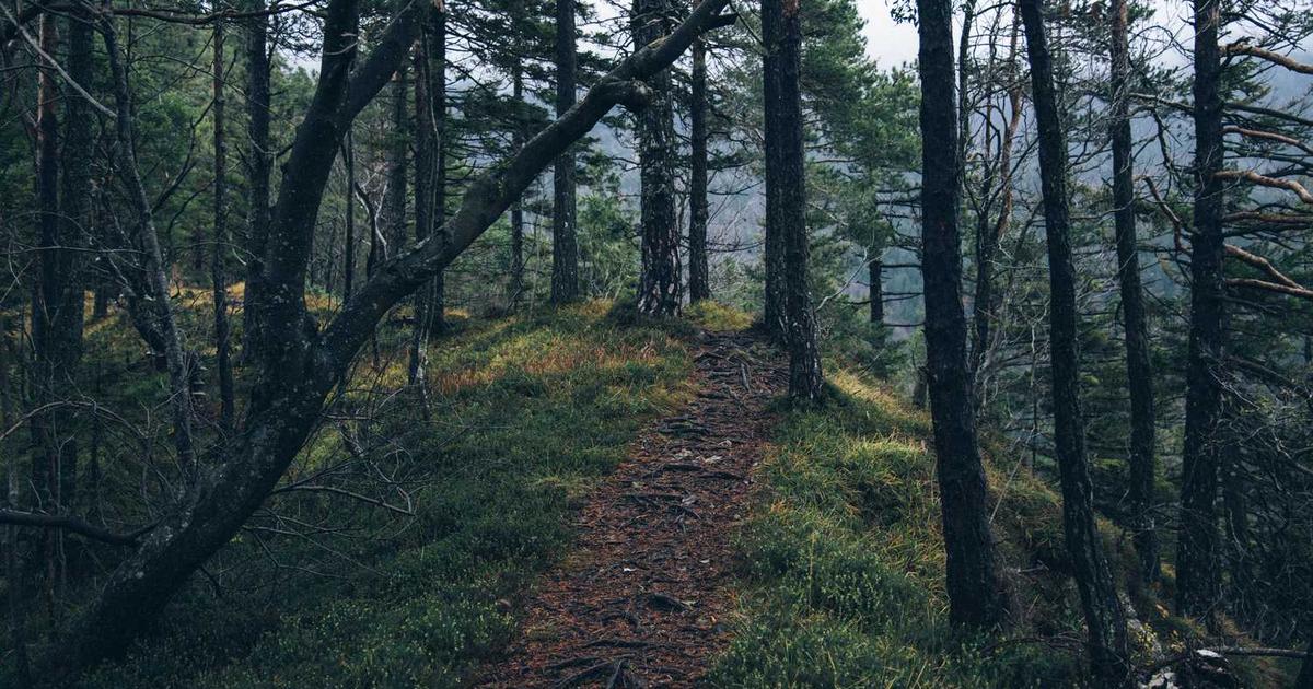 Biblical Wisdom for Multigenerational Households: Making Extended Family Living Work