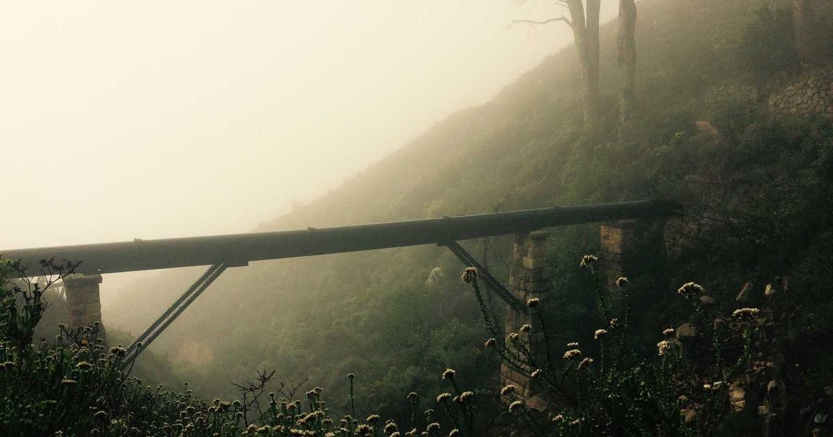 Media Discernment for Christian Families: Teaching Wisdom Beyond Rules