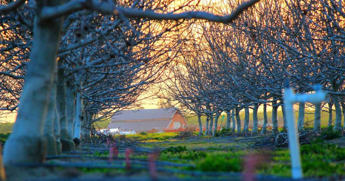 Mentoring and Discipling Younger Children: Training Preteens and Teens in Peer Mentoring and Spiritual Leadership