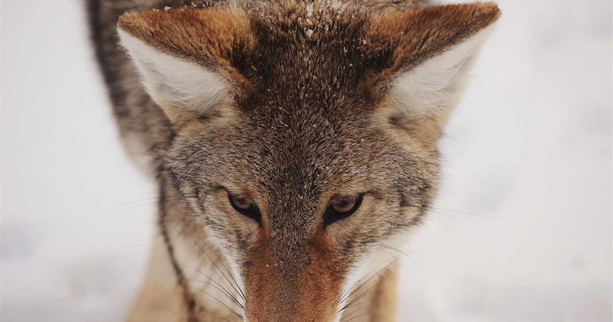 Best Monitoring Apps for Christian Parents: Reviews, Comparisons, and Biblical Guidance