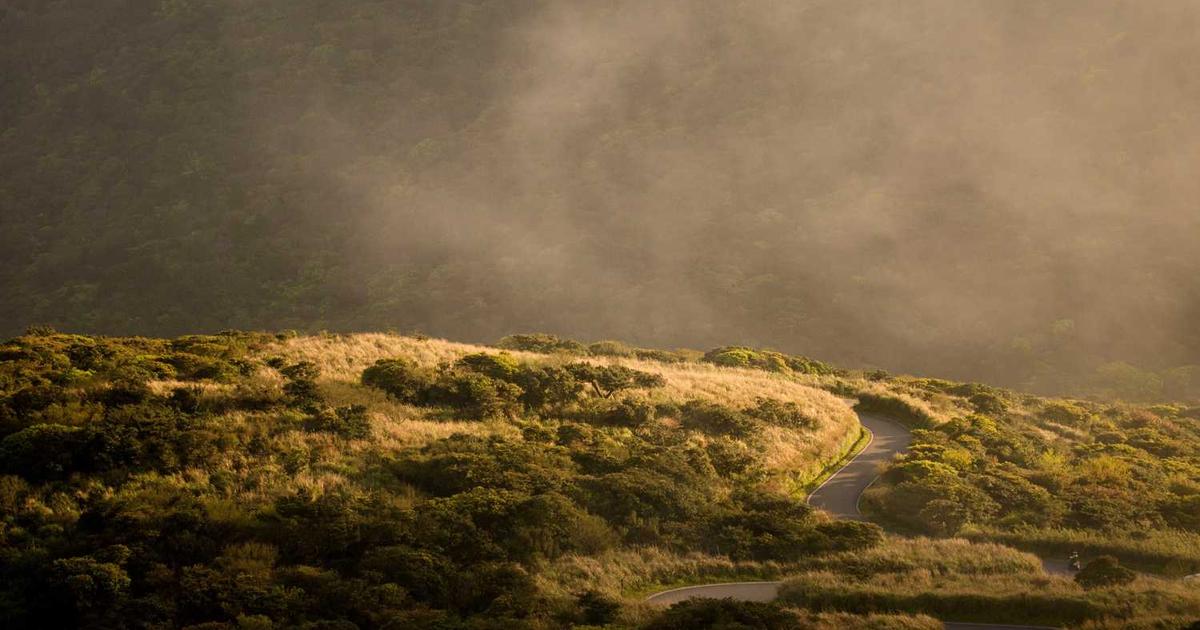 Netflix and Streaming Services: Parental Controls for Christian Families