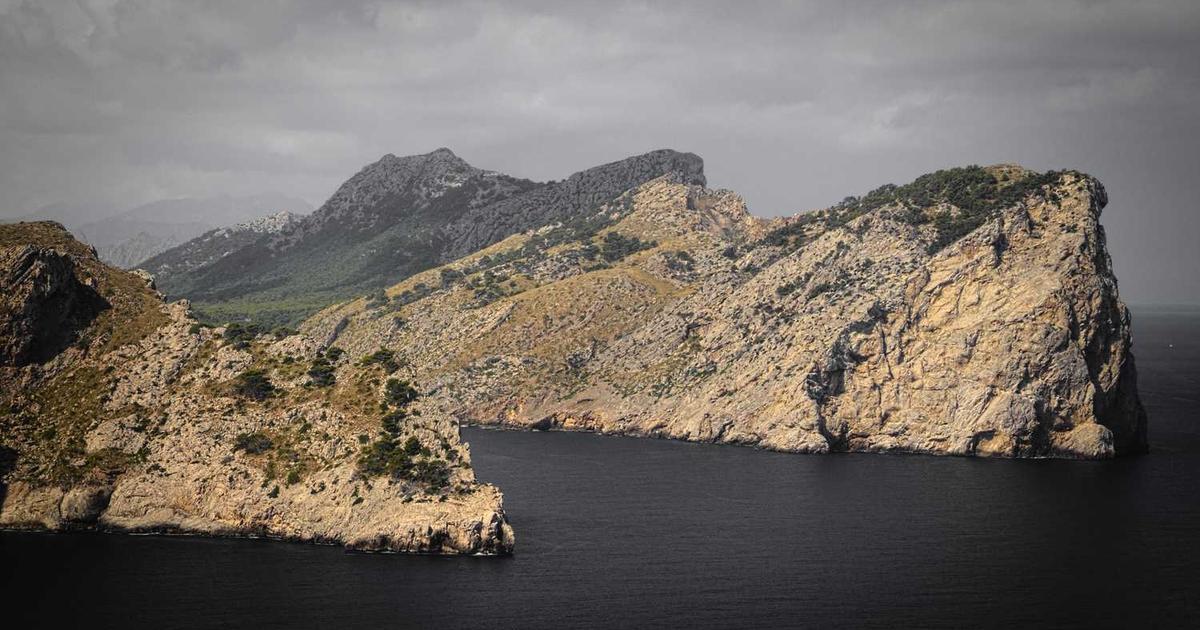 Nutrition and Brain Development: Stewarding Children