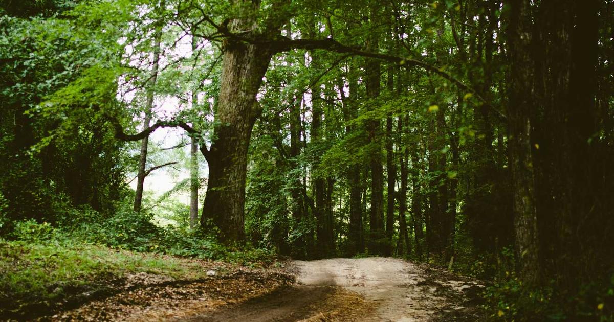 Online Predators: Protecting Children Through Awareness