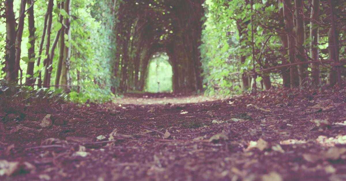 Outdoor Education and Nature-Based Learning