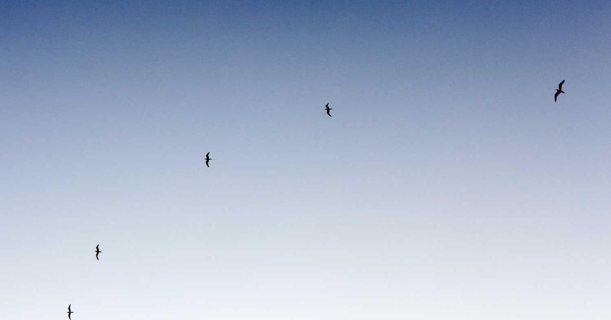 Prayer Partnerships and Accountability for Children