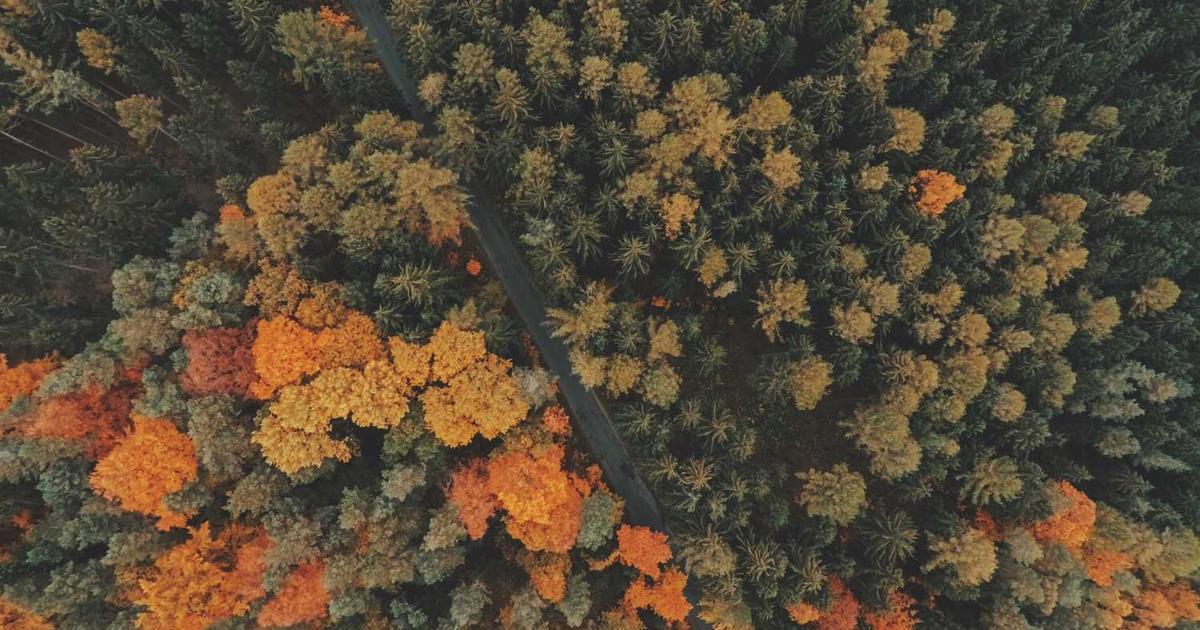 Preteen Challenges: Staying Connected During the Critical Transition Years