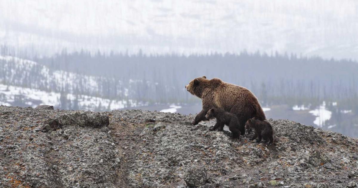 Public School Christian Student: Being a Light in Secular Education