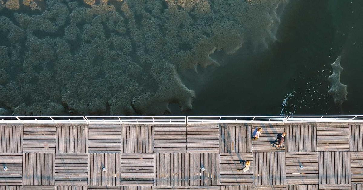 Raising Girls as Godly Women: Biblical Wisdom for Daughters of the King