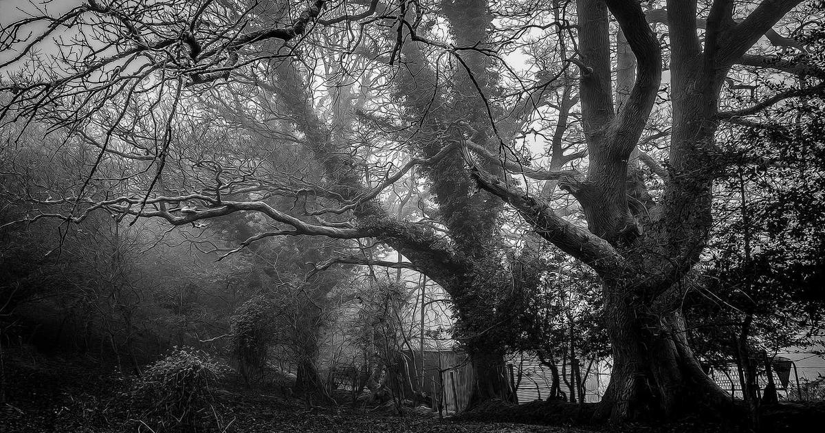 Teaching the Five Solas of the Reformation to Kids and Teens