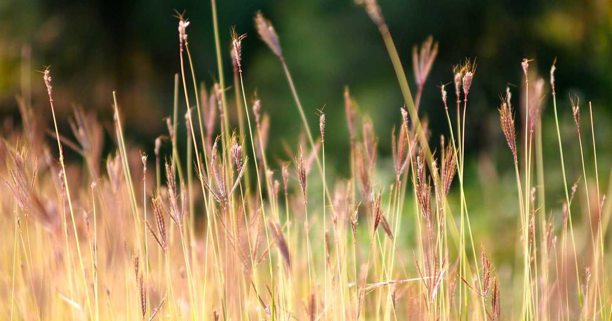 Revival Movements: Teaching Kids About Spiritual Awakening