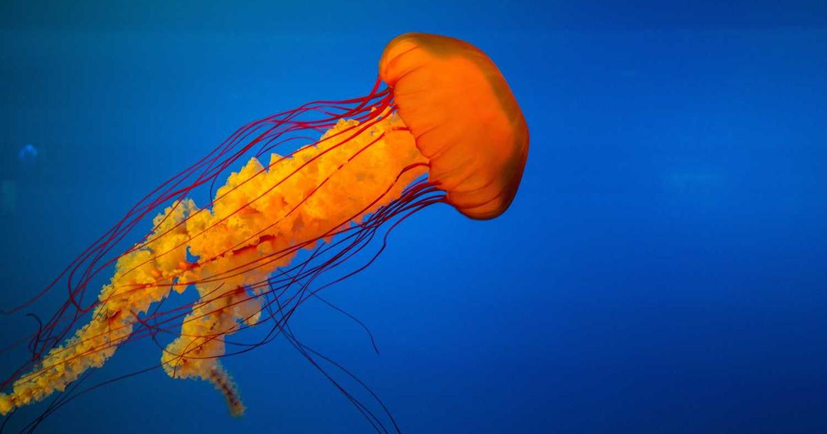 Scripture Memory for Families: Building a System That Sticks for Life