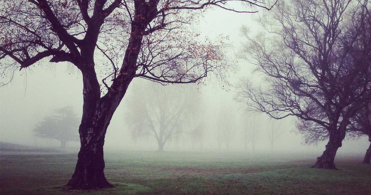 Sensory-Friendly Church: Accommodations for Special Needs