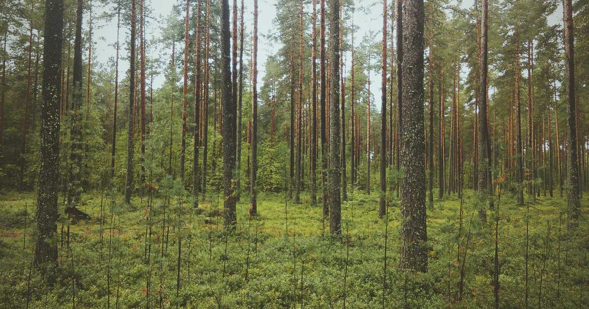 Sideline Parents: Your Behavior at Games Is a Christian Witness