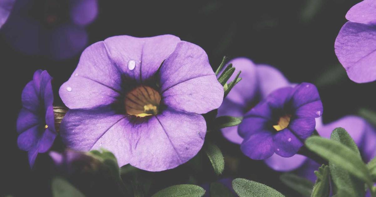 Sleep Training Methods from a Christian Perspective: A Biblical Guide for Baby Sleep