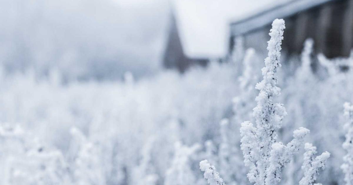 Teaching About Toxic Relationships: Protecting Your Children