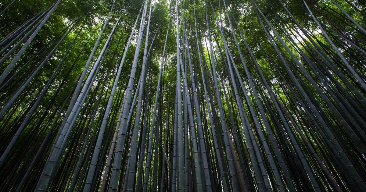 Teaching Children About Faith: Building Unshakeable Trust in God