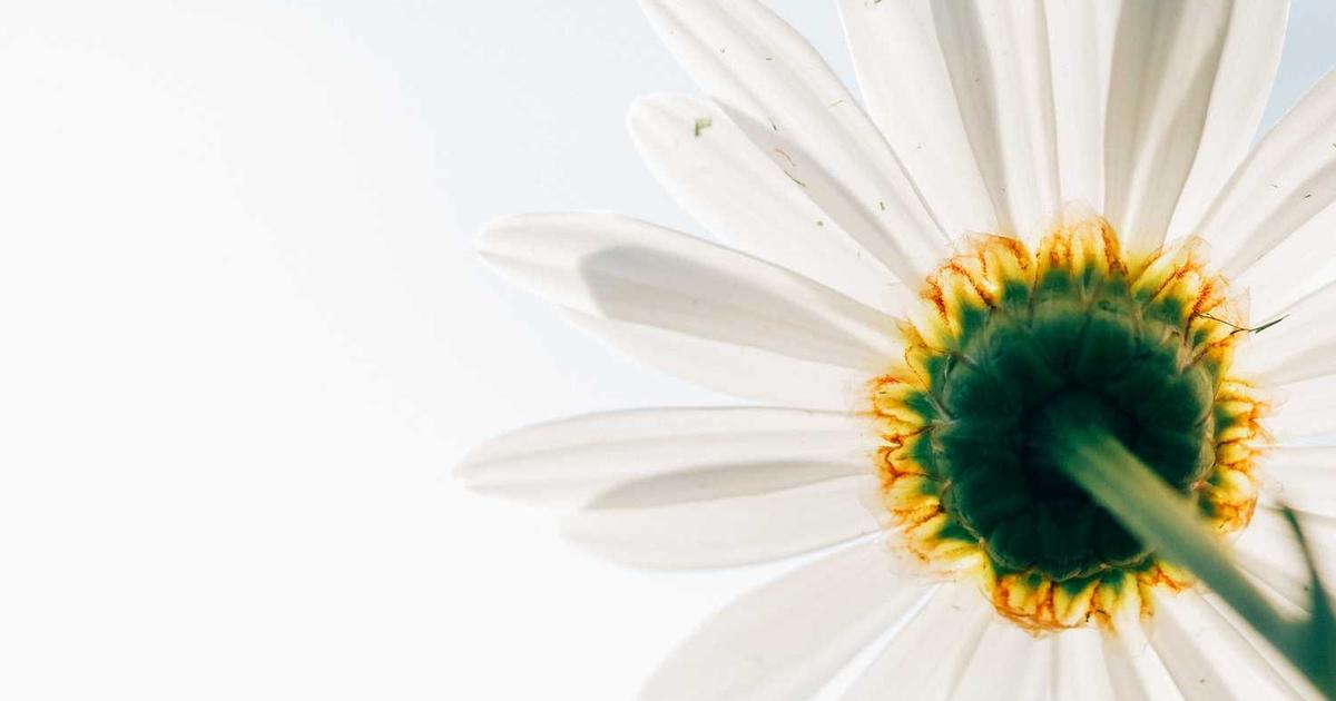 Teaching Contentment in a Comparison Culture: Raising Grateful Children in the Age of Social Media