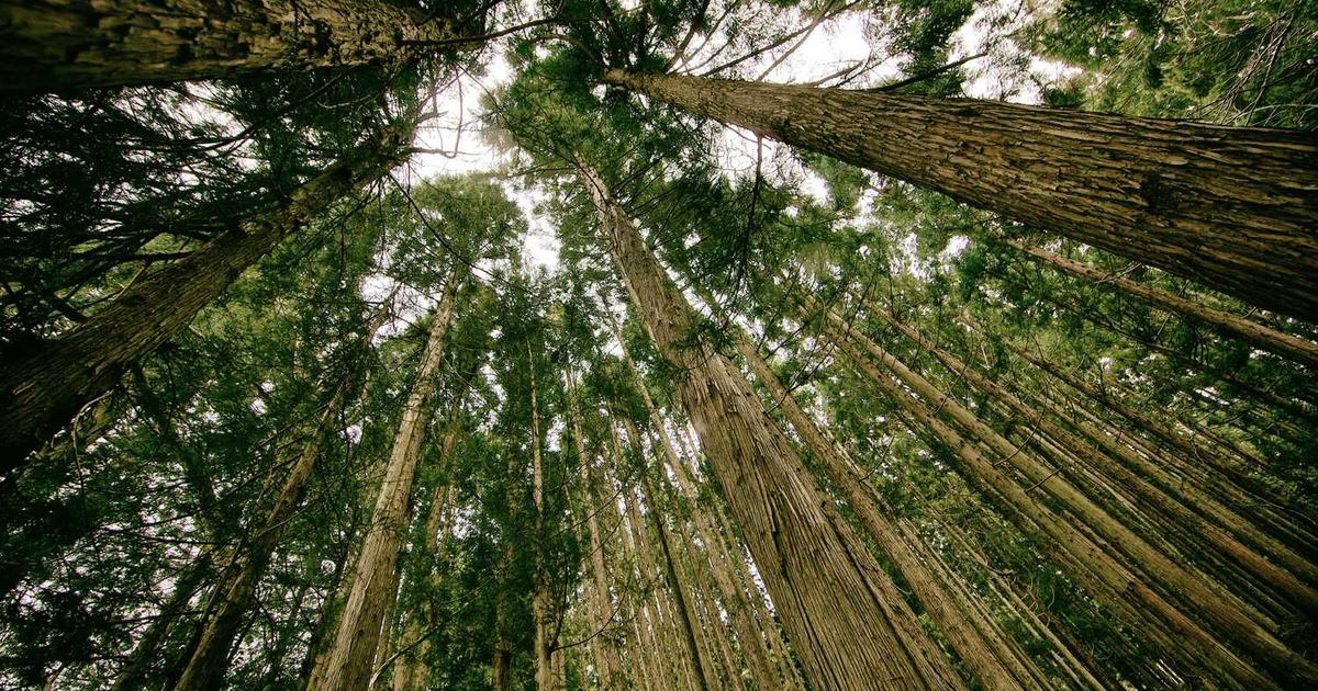 Teaching Self-Control: Raising Children with Biblical Temperance and Spirit-Led Discipline