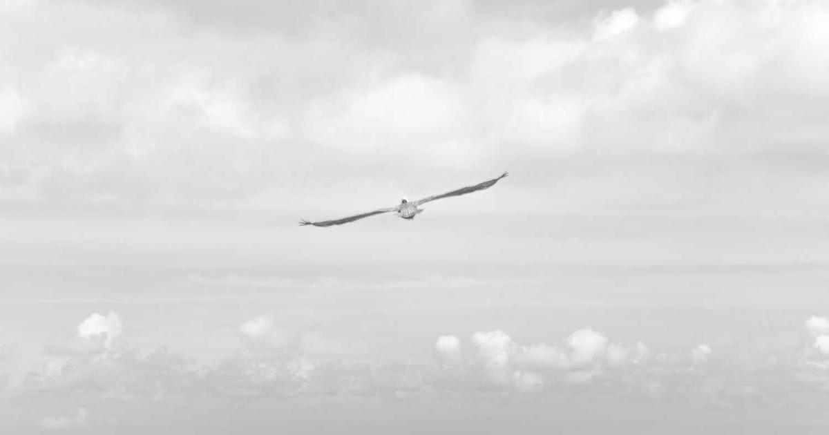 Time-Outs and Alternatives: A Biblical Approach to Calming Consequences